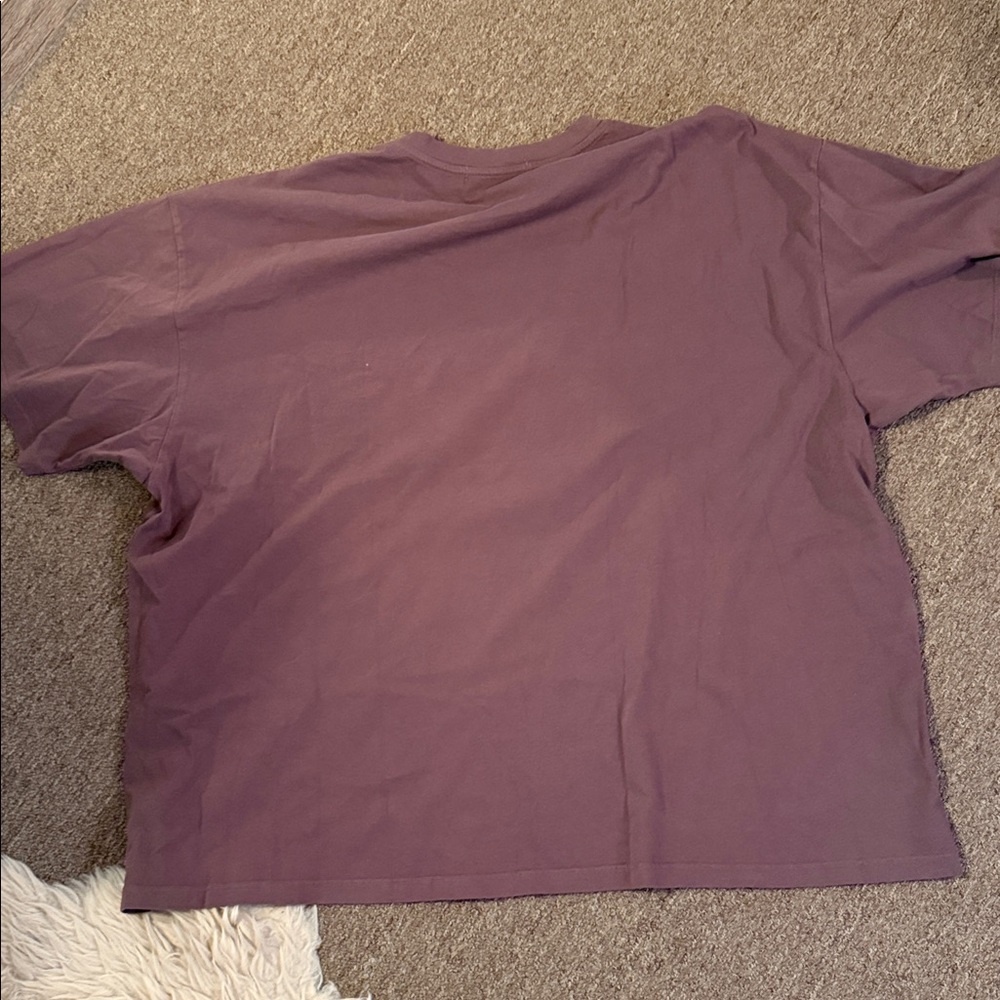 Daydreamer Hold Your Horses Tee - Picture 6 of 9
